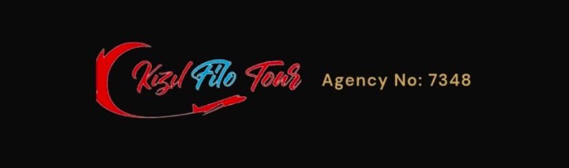 Acente Logosu