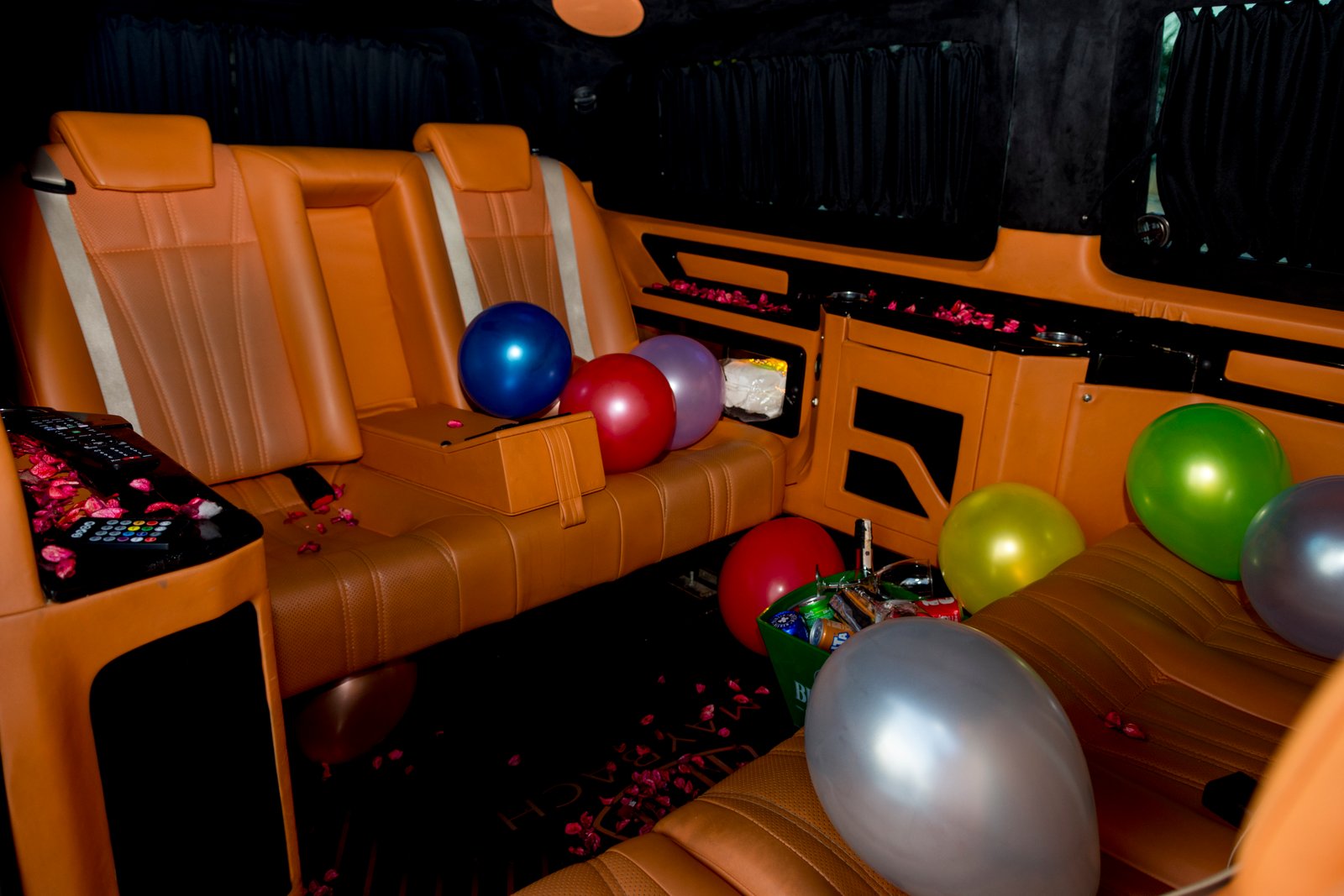 Saber Transfer VIP Araç Detayı